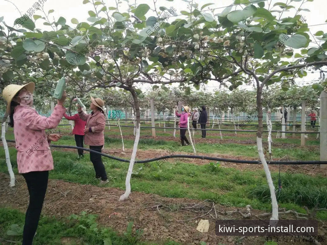 奇异果体育安全吗常见问题最新解答：技术评测揭示平台防护细节